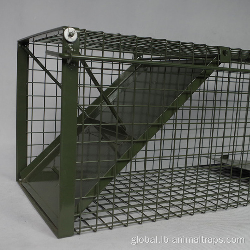 China Whit Bird Cage Animal Live Trap A BirdcageTrap Factory